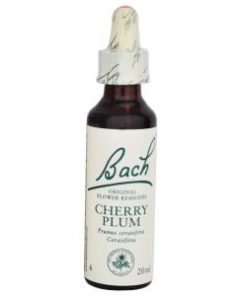 Floral de bach - Churry Plum