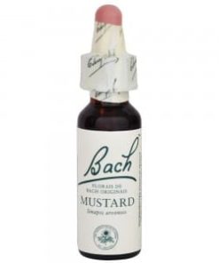 Florais de Bach - Mustard