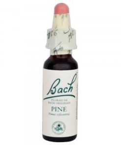 Florais de Bach - Pine
