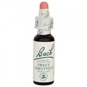 Florais de Bach - Sweet Chestnut