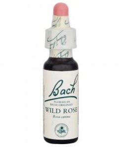 Florais de Bach - Wild Rose